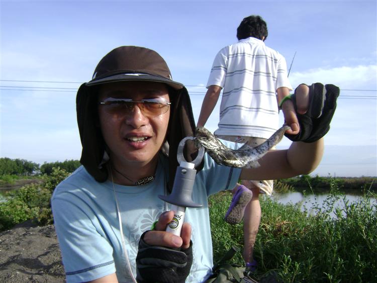 กุเราคลุกฝุ่น  คู่แข่ง หนุมานคลุกฝุ่น

น้าเอ็ดก็ยังจะหยิบมาโชว์อีก คึ คึ