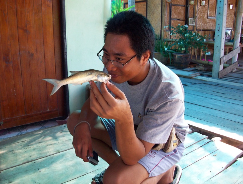  :grin: :grin:  ปลา น้าเป้าอีกตัวครับ.....พี่บิ๊กทั้งนั้นเลยค้าบ 555555555   :laughing: :laughing:
