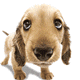 ปลายักษ์  :grin: :grin: