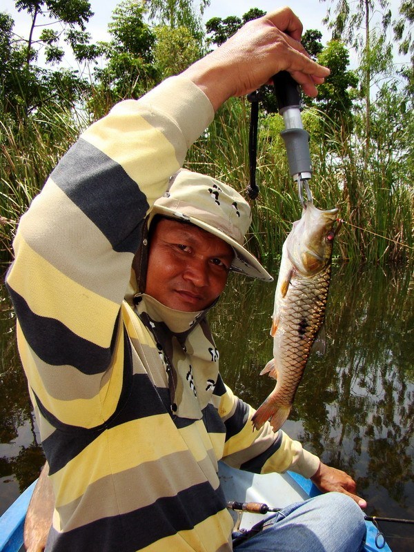 หวัดดีจ้าน้าMR.FISHINGMAN 

*********************
น้าหม่ำซึ่งอยู่ทางด้านหัวเรือ
ก็คว้ามาทีละหนึ่