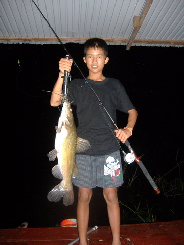 ตัดมาช่วงกลางคืนครับมีปลากดเหลือง