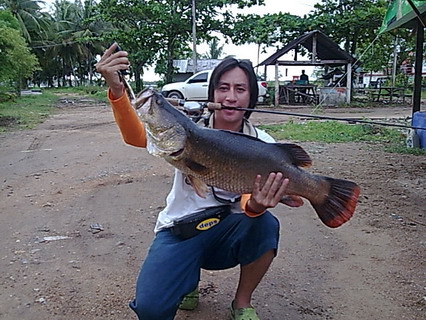 แล้วผมไปไหนซะล่ะ ฮือๆไม่มีรูปเราอีกละ +1 ครับ
 :laughing: