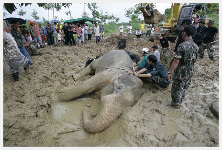 เห็นชื่อกระทู้ไม่ต้องตกใจ เพราะว่าโจ้เองก็ไม่รู้จะตั้งชื่อว่าอะไรค่ะ
ในช่วงที่บ้านเมืองกำลังสับสนวุ