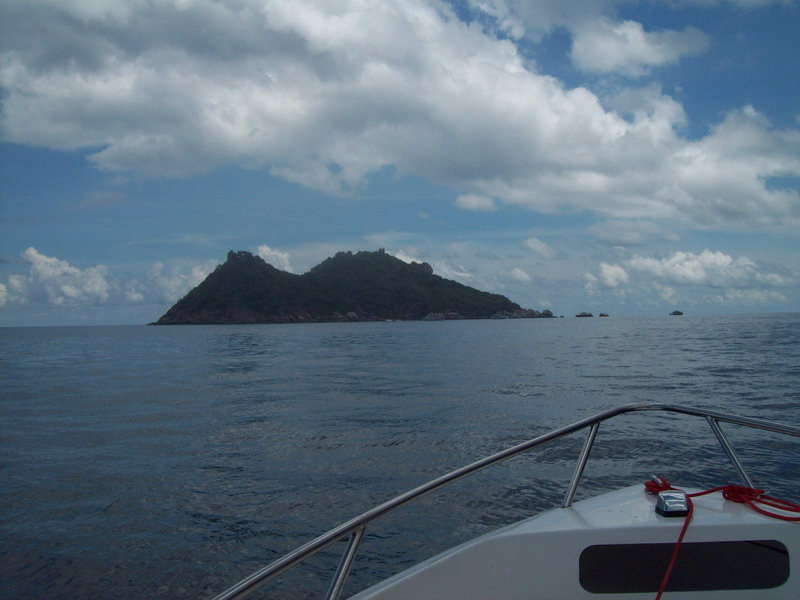เกาะนางยวน