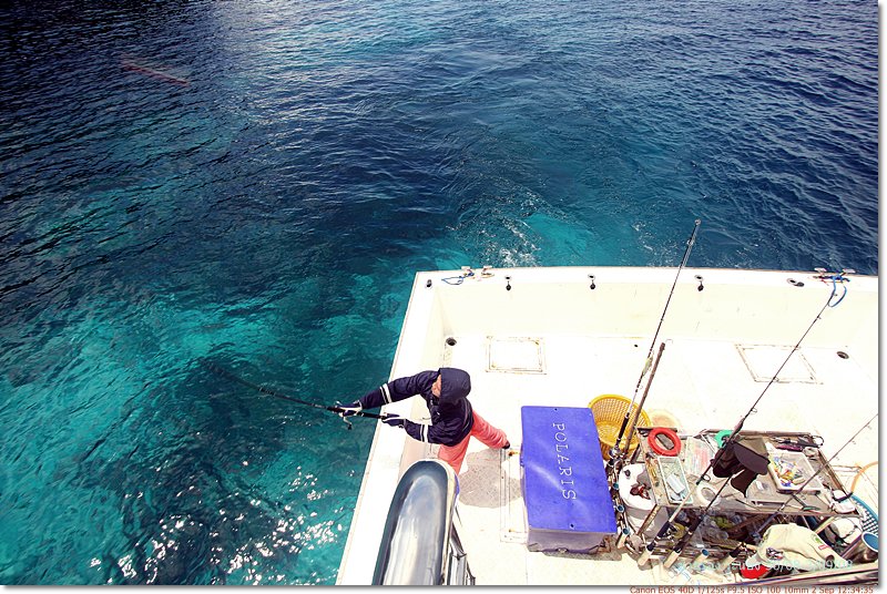 
เฮียช้างแอบตีท้ายครัว   เอ๊ย ท้ายเรือ :grin: