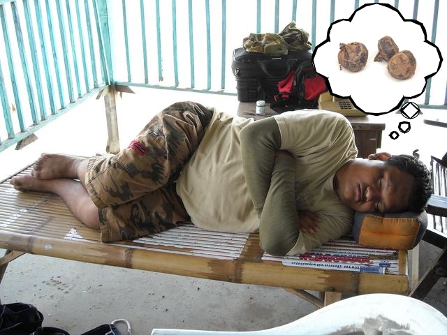 อ้าว น้ามาดจบแล้วเหรอ 
:grin: :grin: :grin: :grin: :grin: :grin: :grin:

รูปนี้แอบถ่ายไว้ ดูก็รู้
