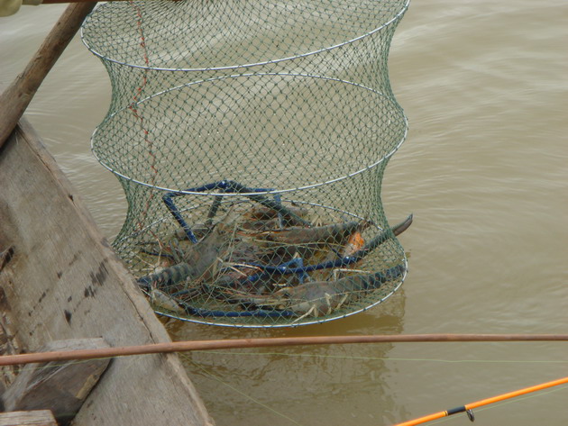 ช่วงบ่ายพวกเราย้ายหมาย.กุ้งที่ได้ก็อย่างที่เห็นคร๊าบ.

             :love: :grin: :love: