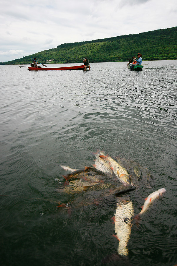 เรือของเพื่อน ๆ ในก๊วน เห็นพวงปลา  ก็อดไม่ได้ที่จะถ่ายภาพเก็บไว้ 