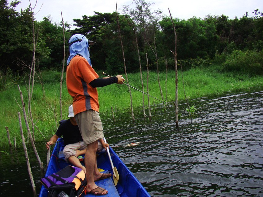 เรือของเราไม่มีสมอ
ไต๋จึงปล่อยให้�