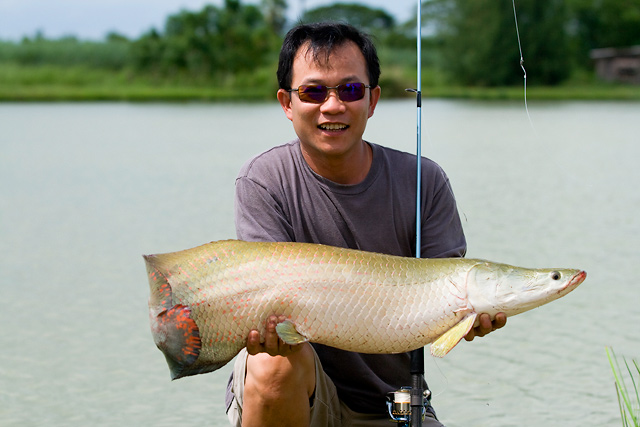 จริงๆ กุ้นเชียง ต้องได้อาราไพรม่าใหญ่กว่านี้ แต่ทำหลุดไปซะได้ 