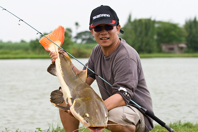 กุ้นเชียงกับเรดเทล 