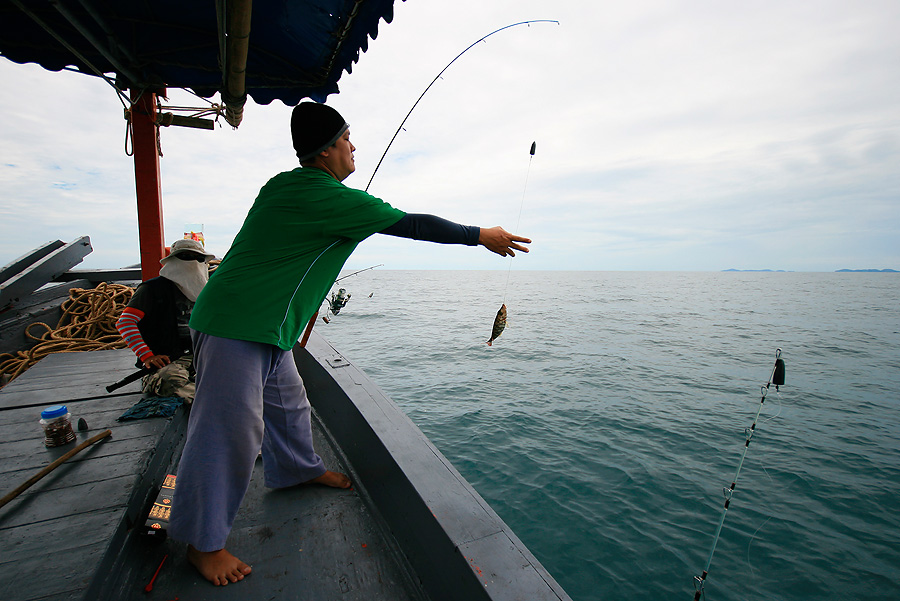 น้าหนุ่ม  หันมาหัวเรือ  มาสนุกกับการหาอาหารกลางวัน