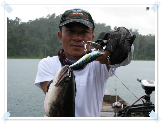[center]
[q]
ตีปลาจิบตามหัวเกาะที่เชี่ยวหลาน Rapala Skitter Pop 9 ซม สี CR 
[/q]
[/center]