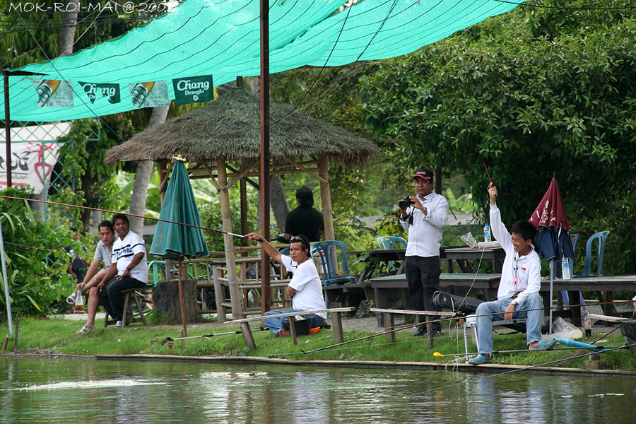 ปลามีดื้อมีเถียงแต่ก็เสร็จน้ากระท