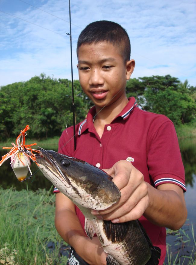  :grin: :grin:

สวัสดีครับน้าfishingman_001 กำลังหัดใ
