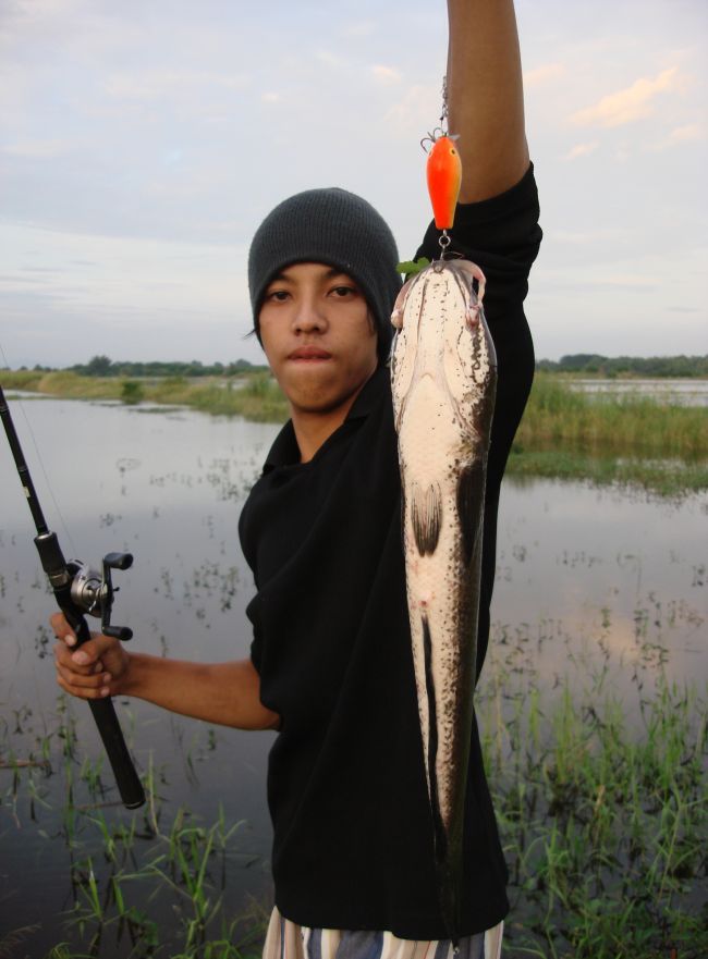 ส่างส้มไม่พลาดตามเคยครับเช้านี้ :laughing: :laughing: :laughing: