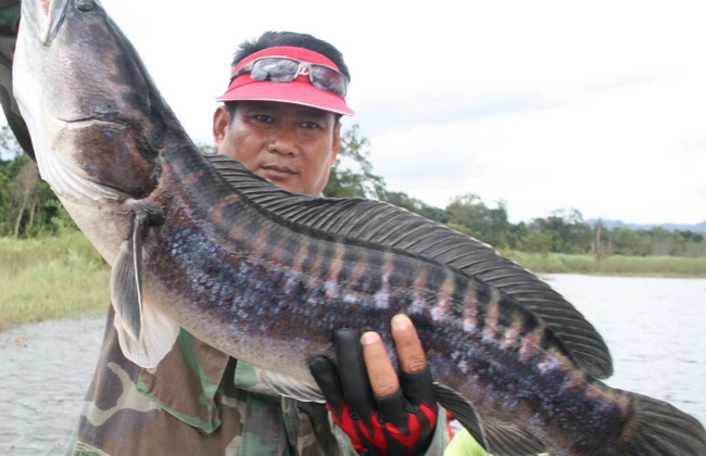 แบตหมดครับกว่าจะเปลี่ยนได้ก็ได้แค่นี้แหละครับ :grin: