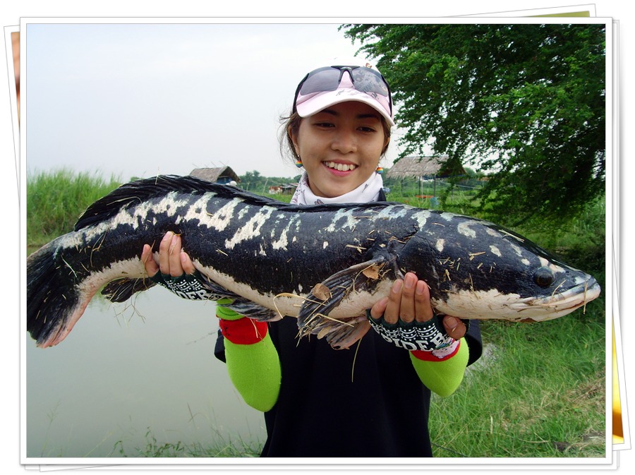  [q]+๑ ยอดเยี่ยมเลยครับ[/q]
ขอบคุณมักๆ ค่ะ

