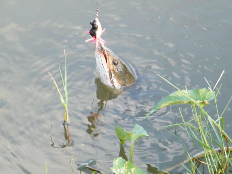 ชาร์แม่นซะด้วย :sleeping: :sleeping: :sleeping: :sleeping: