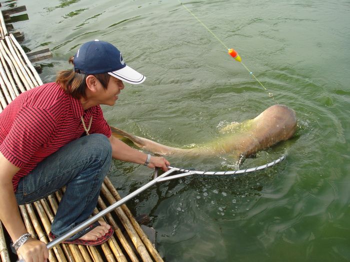 เข้ามาซะ :tongue: