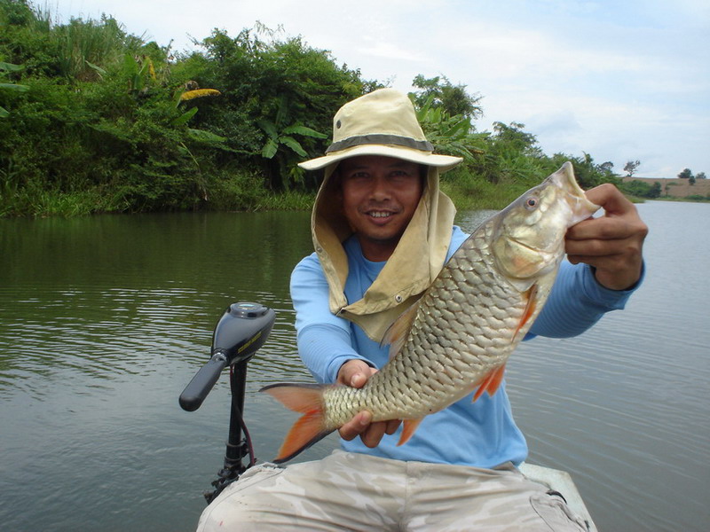 สู้คนเอาปลา คนอื่นมาอวดไม่ได้ หน้าตาดี..ดี   :grin: