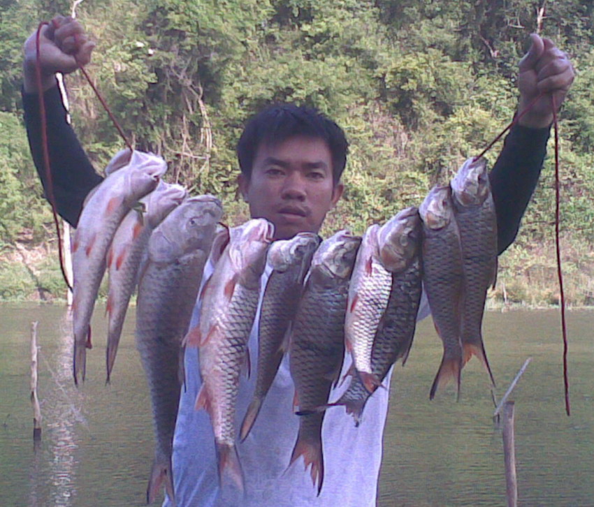 เมื่อวานไต๋เข่งโทรมาบอกให้รีบไปปลากำลังกัดดีเลยช่วงนี้
ไต๋เข่งไปตีได้ตัว 4.9 ก.ก มาเลยเล่งผม (ไอ้เร