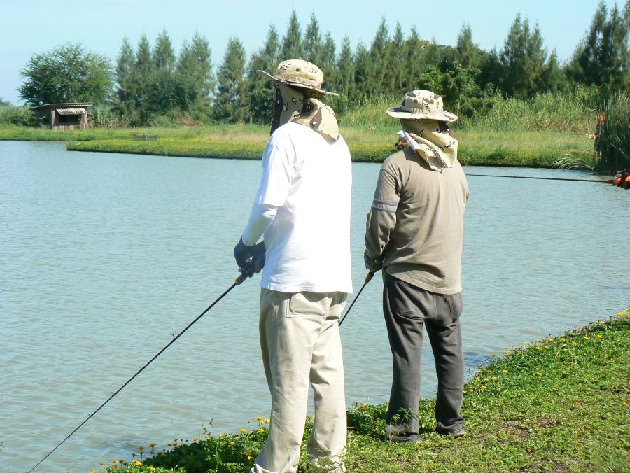 วันนี้ที่บ่อ IT LAKE MONSTERS