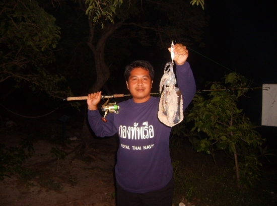 ในส่วนขอการตกแบบชายหาดที่นิยมกันจะเป็นแบบเหยื่อกุ้งปลอมครับ มีให้เลือกหลายสี หลายขนาดครับ   แต่แนะนำ