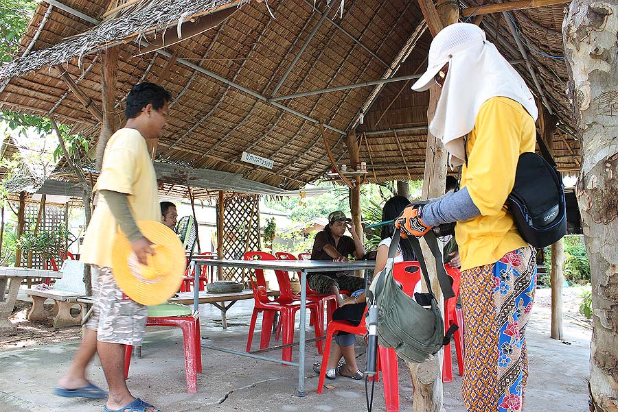 พัก หาอาหารกลางวัน

อาหารจานด่วน  กระเพรา ข้าวผัด