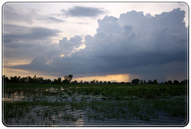 สภาพหมาย