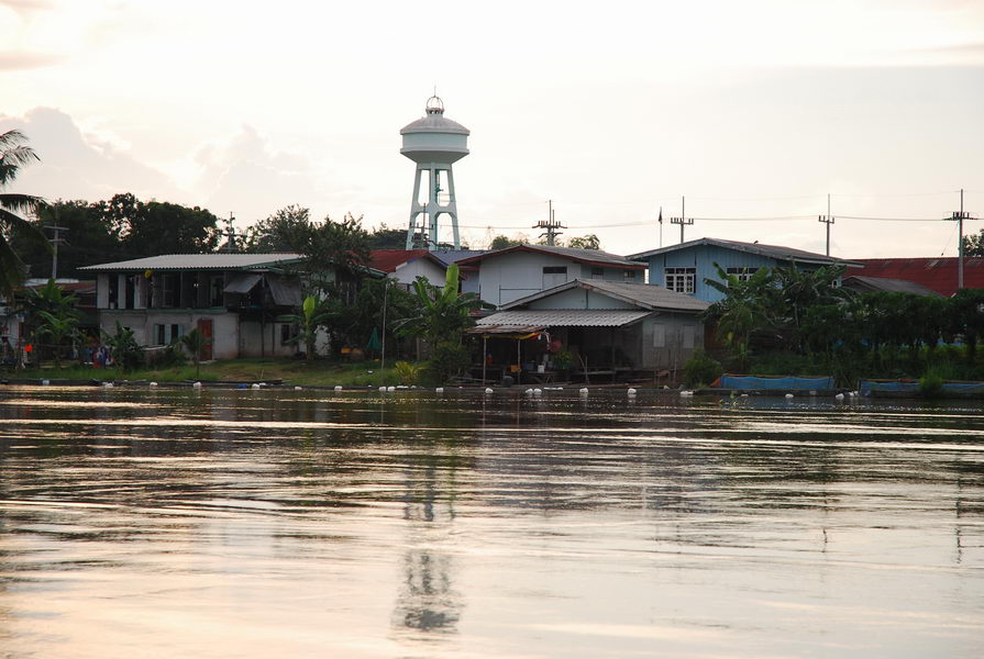 เราวกหัวเรือกลับมาเข้าทางปากแม่น้ำยม ใช้เวลาประมาณสิบนาทีกำลังเพลินๆกับบรรยากาศของสองฝากฝั่งก็มาถึงห