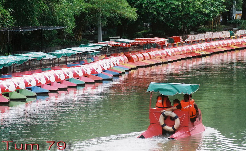 เดินจากส่วนกรงนกข้ามสะพานมาเห็นเรือถีบ นึกถึงตอนเด็กๆที่เคยมาเช่าเรือเล่น แต่พอโตมาหมดไฟที่จะเล่นแล้