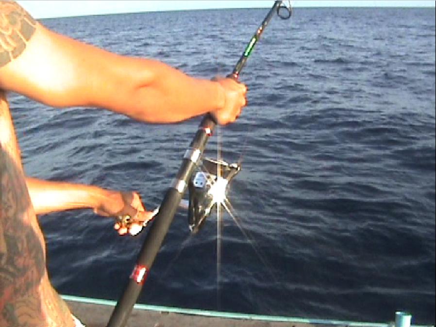 Daiwa Opuss Bull ตัวเดิม ทำงานอีกแล้ว...   :ohh: