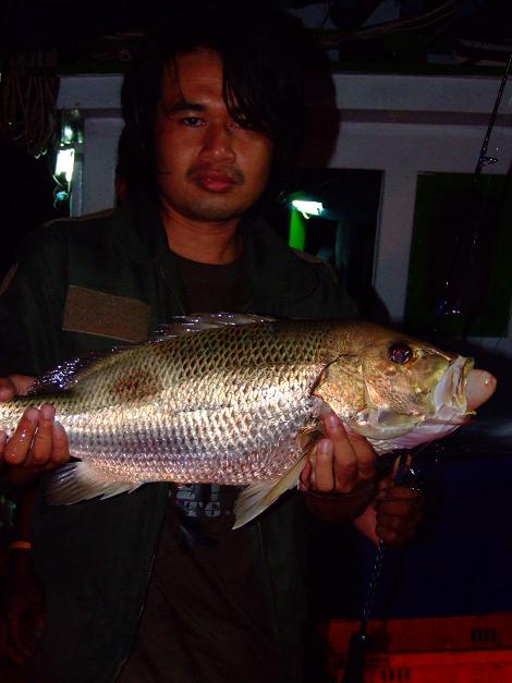 รูปสุดท้าย .. แล้วผมก้อขอตัวไปนอนระบมอยู่ข้างบน :cool: