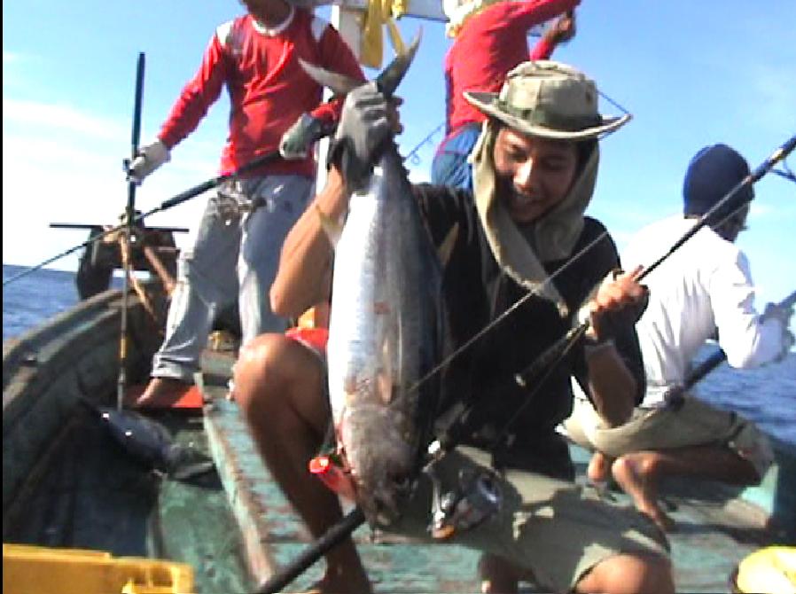 ส่วนผม ทำแต้มนำโด่งแต่เช้าแล้วครับ  เอาชุดเล็กไปป๊อบด้วย ..  

ทั้ง Yellow Fin  ปลา โอ    กะมงพร้า