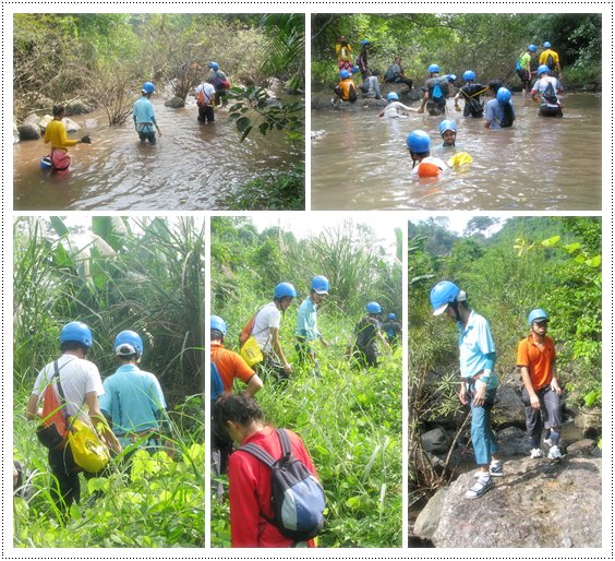 เส้นทางเดินบางช่วง มีทั้งลุยน้ำ และ ลุยหญ้าสูงท่วมหัว