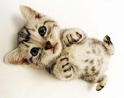  :cheer: :cheer:เห็นแร้วอายเด็กเลยเรา 555  :cheer: :cheer: :cheer: เอ้า +1 ไป