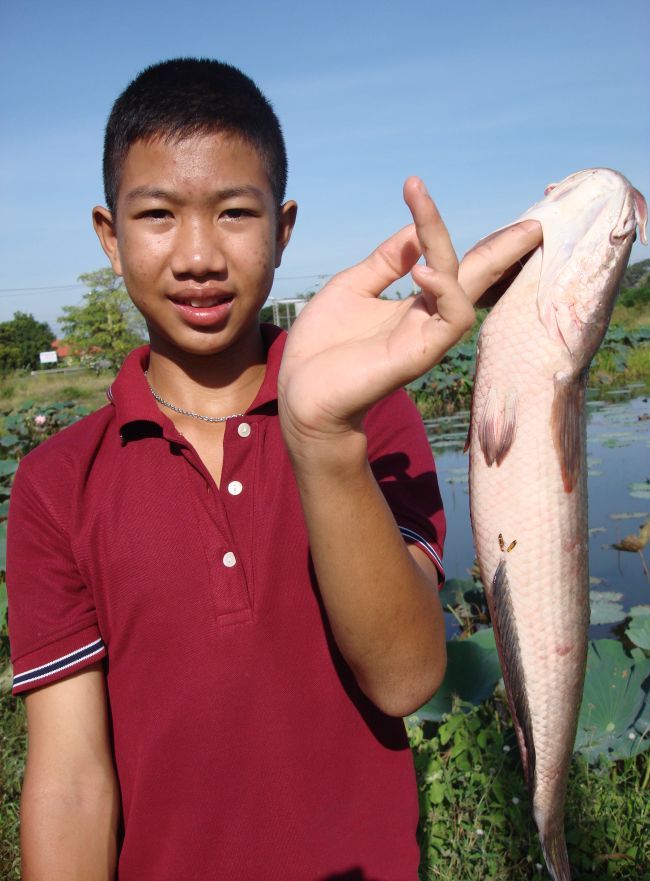  :laughing: :laughing: :laughing: :laughing:

สวัสดีครับน้าgungo คันบิวส์จ้า :grin: