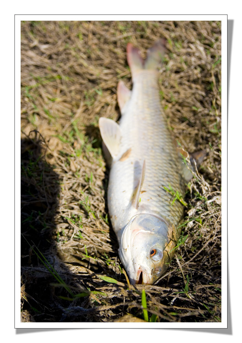 ขอถ่ายภาพน้องนวลจันทร์เดี่ยวๆหน่อย  :grin: :grin: :grin: