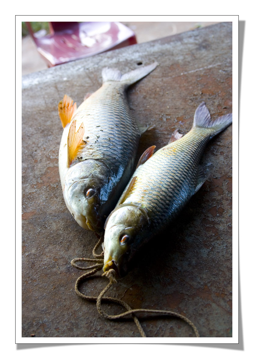 ด้านหน้าบ้างครับ  :grin: :grin: :grin:
