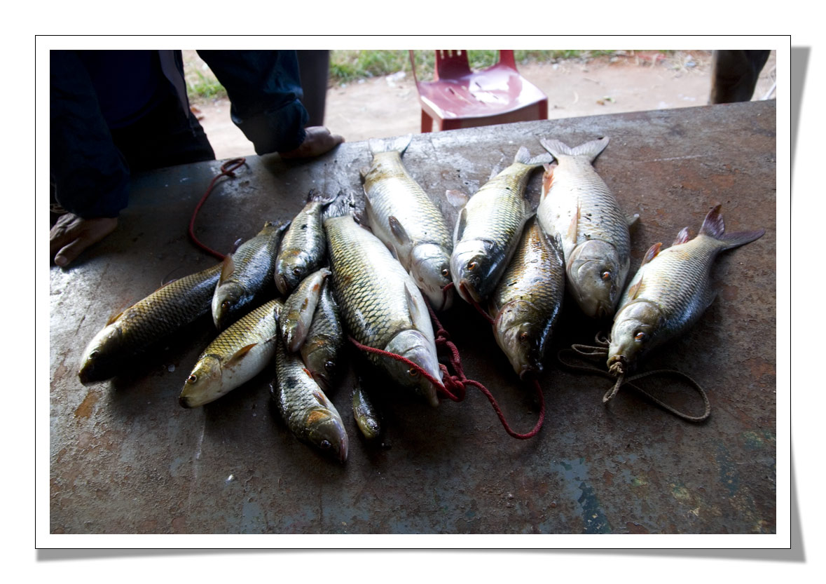 อีกภาพครับ  :grin: :grin: :grin: