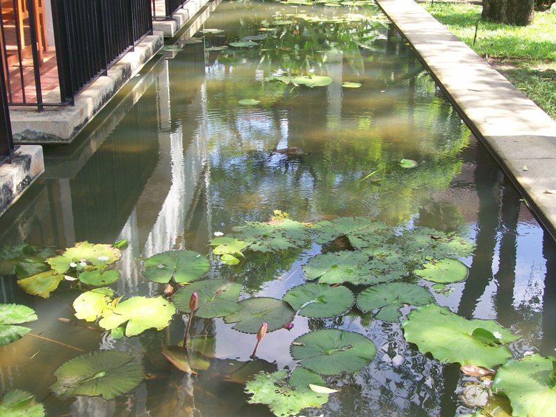 บ้านใหม่ของพี่โดเค้า :grin: