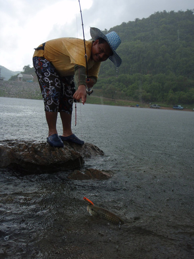 เอ้าตกเข้าไปฝนฟ้า.....เจ้าปลากระสูบก้อไม่รู้ว่า ไปอดอยาก ขาดฝนมาจากไหน....
...........ฝนยิ่งตกหนัก 
