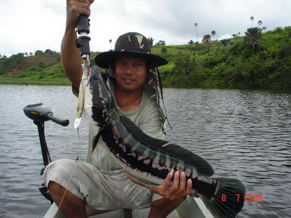 น้า                 abu2005  ..................ขอบคุณครับ

น้า                 fishingman_001.....