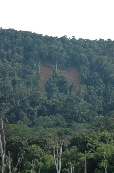 ตอนเรียนในมหาวิทยาลัย อาจารย์บอกว่า

แบบนี้ คือ Land slide