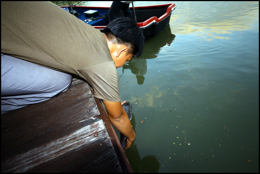 ปล่อยตามธรรมเนียม
-----------------------

 [q]นู๋ส้มไปกินผลไม้......(แห้ว) หรือเปล่าเนี่ย [/q]
