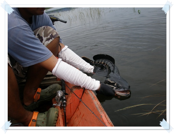 ปรับสภาพก่อนปล่อยครับ.....