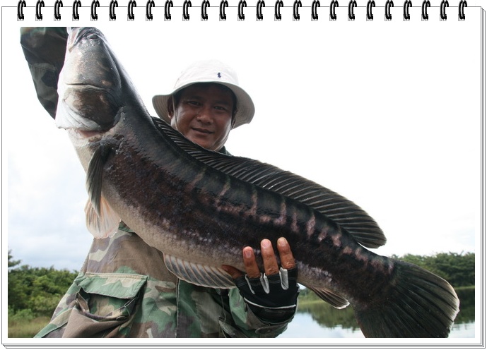 สุดๆแล้วในซีวิต......