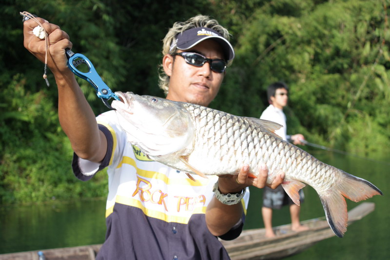 [q]
400 หรือ 450 เอ่ย งานนี้
ภาพงามบาดตาดีแท้ ปี้มง
[/q]
สวัสดีครับ น้องส้ม เป็น Cannon Eos 450 