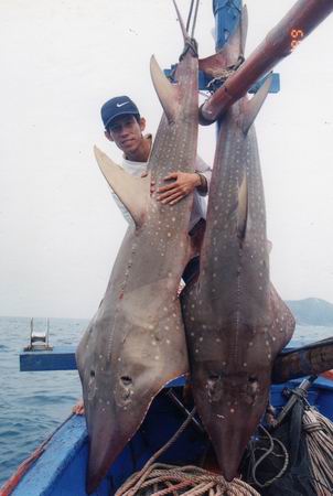 แหม๋พี่โปร ... 
ผมทำมานทุกปลาละครับ  ปลาร้าอ่ะ 

 :laughing: :laughing: :laughing: :laughing:

